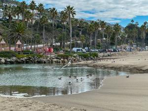 Aliso Beach 3